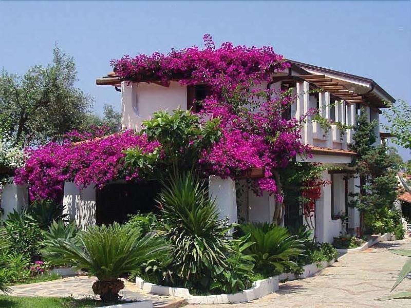 Villaggio La Pizzuta Parghelia Esterno foto